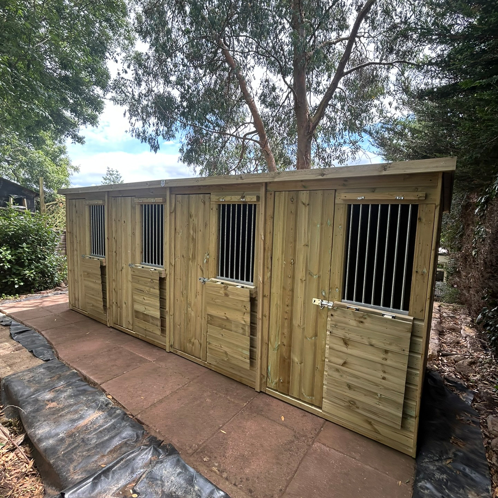 4 bay aviary mews for birds of prey 1 bird of prey aviary mews
