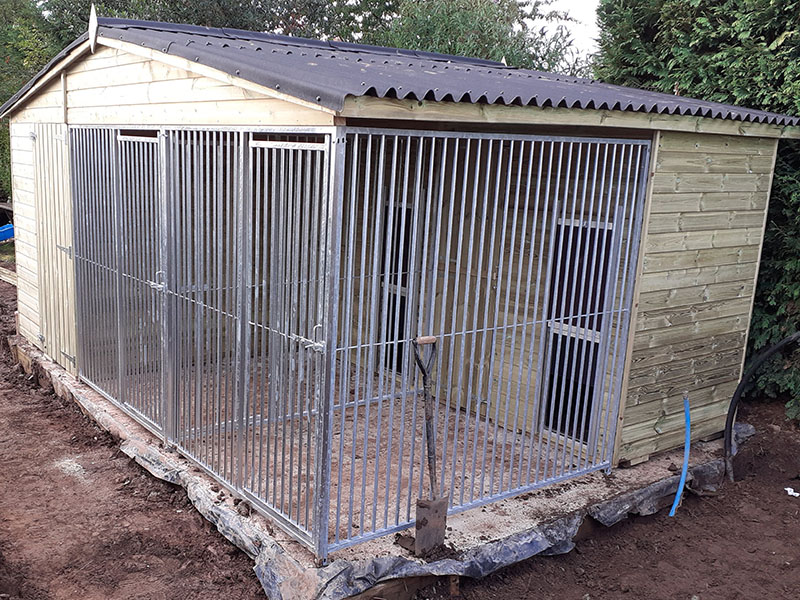 Double Dog Kennel Plus Shed 800x600