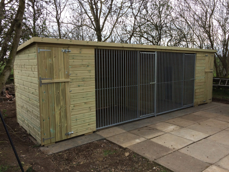 Double Pent Dog Kennel And Runs Fife 2 800x600