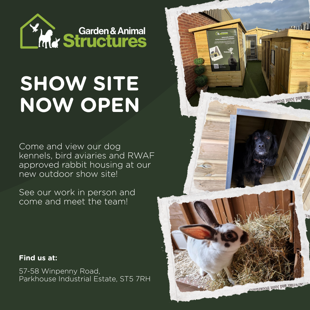 Wooden dog kennels bird aviary rabbit house for sale on display 