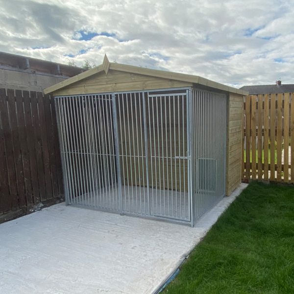large single dog kennel with run